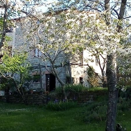 La Fonte B&B Pietralunga  Esterno foto