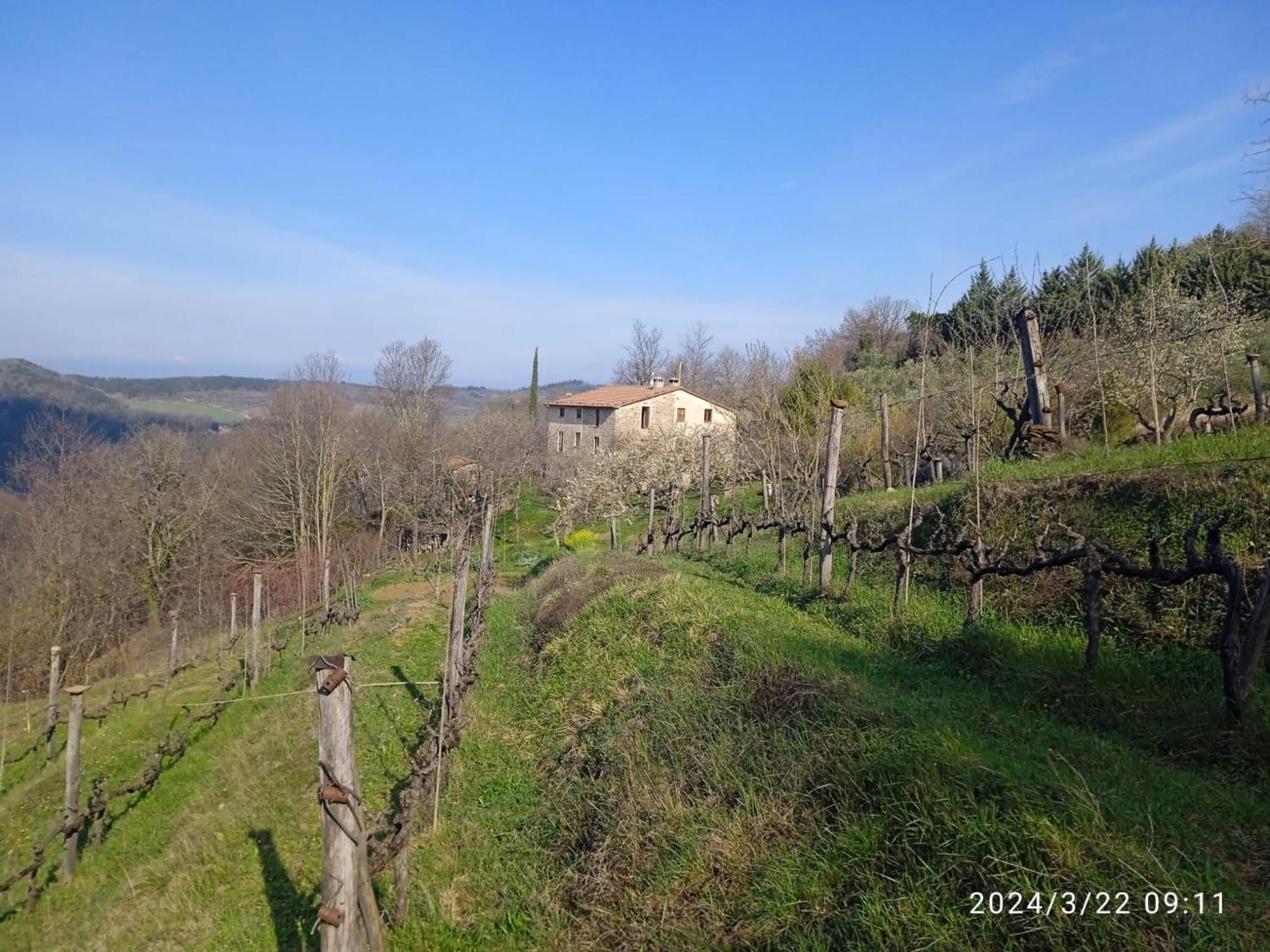 La Fonte B&B Pietralunga  Esterno foto