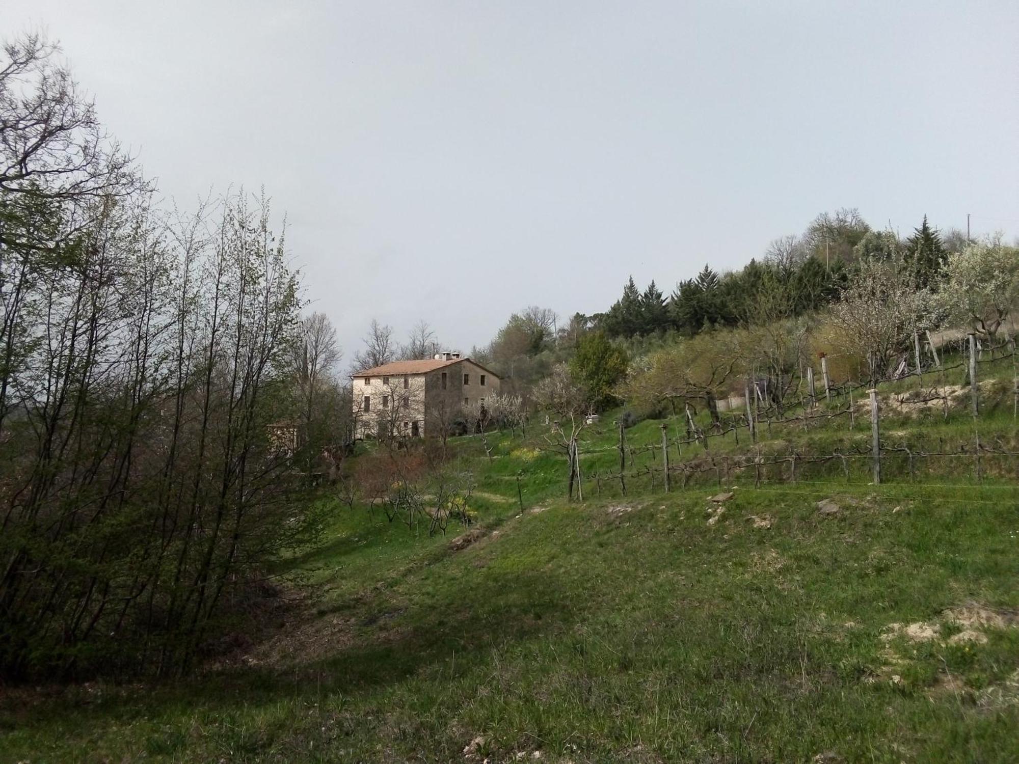 La Fonte B&B Pietralunga  Esterno foto