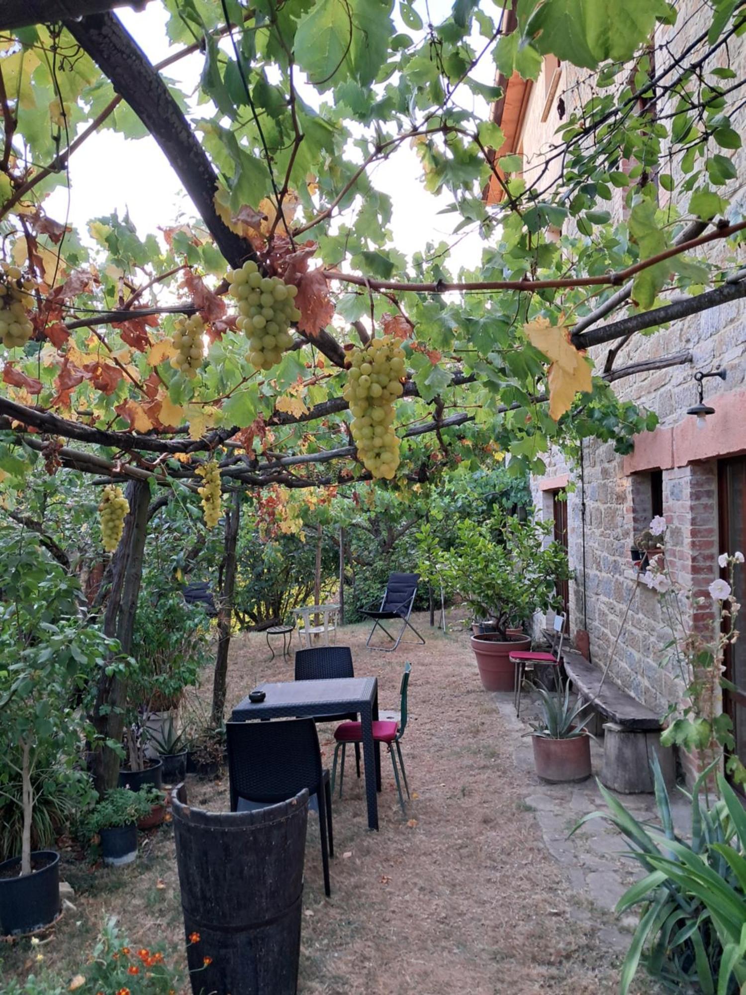 La Fonte B&B Pietralunga  Esterno foto