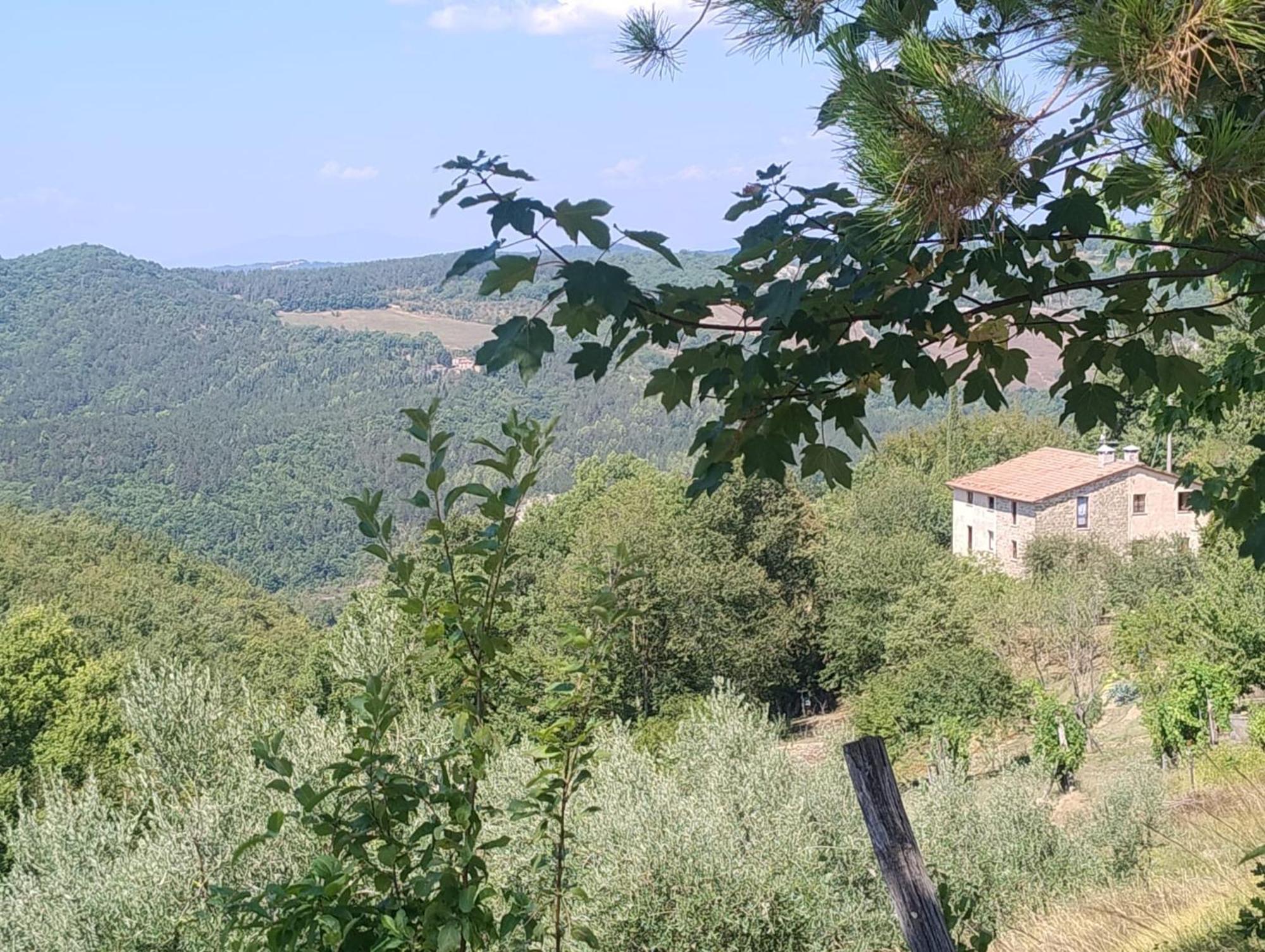 La Fonte B&B Pietralunga  Esterno foto