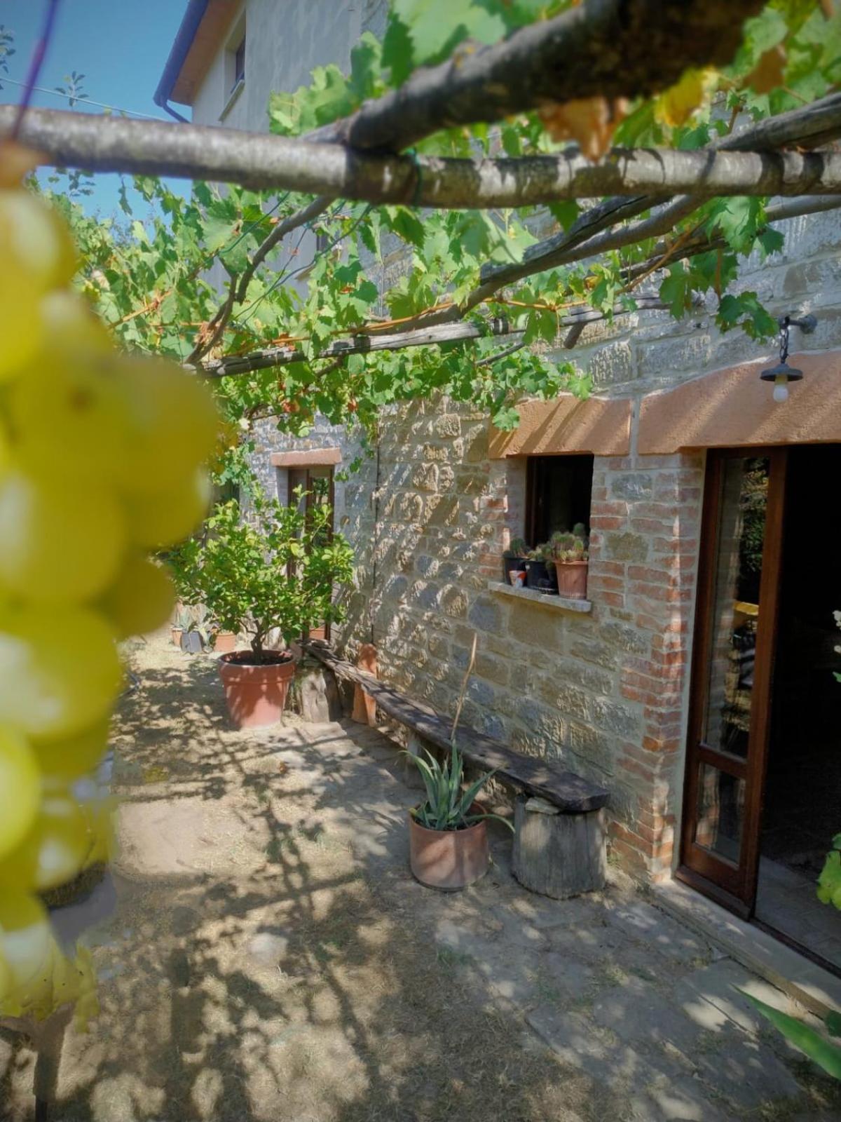 La Fonte B&B Pietralunga  Esterno foto
