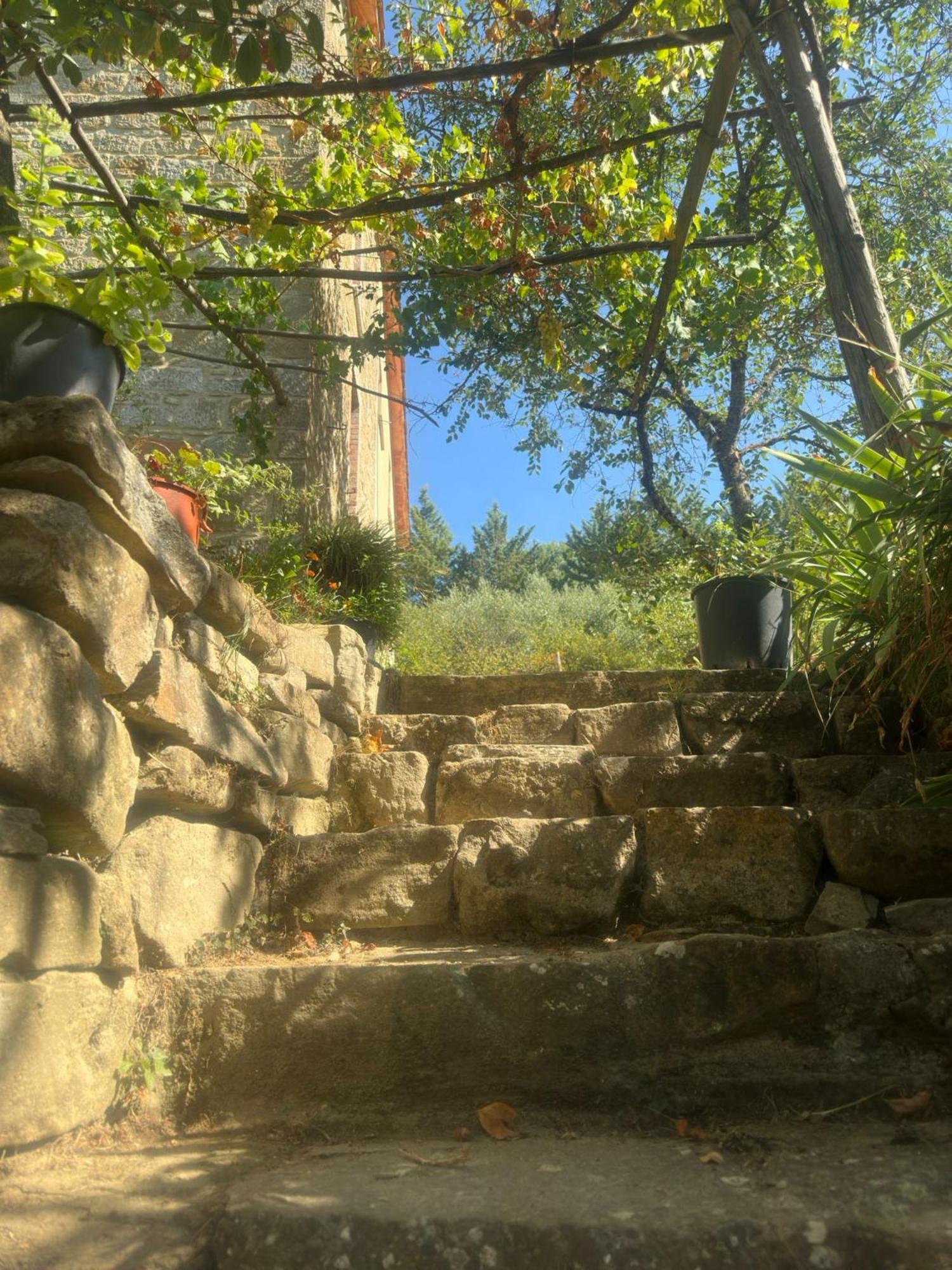 La Fonte B&B Pietralunga  Esterno foto