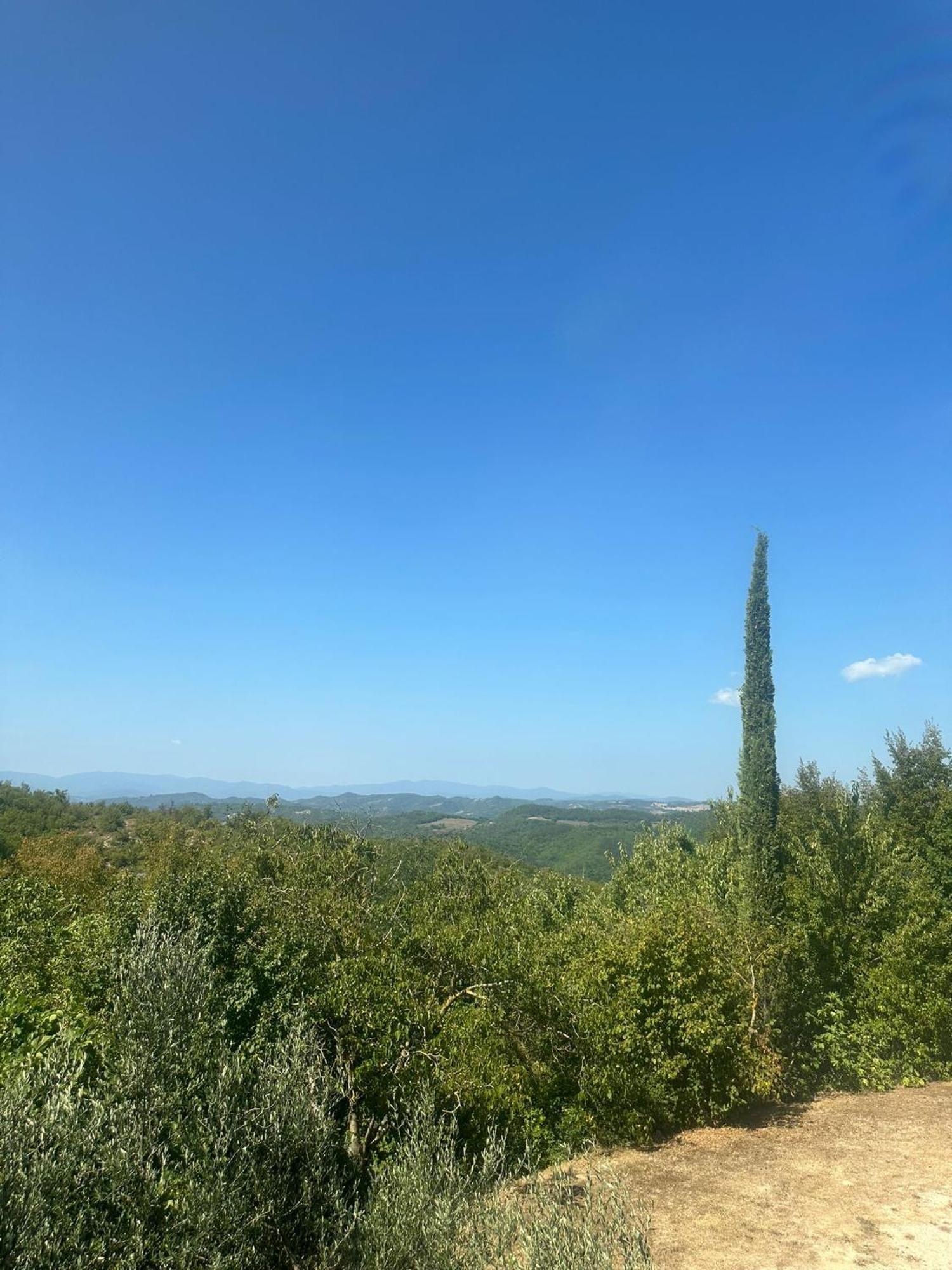 La Fonte B&B Pietralunga  Esterno foto