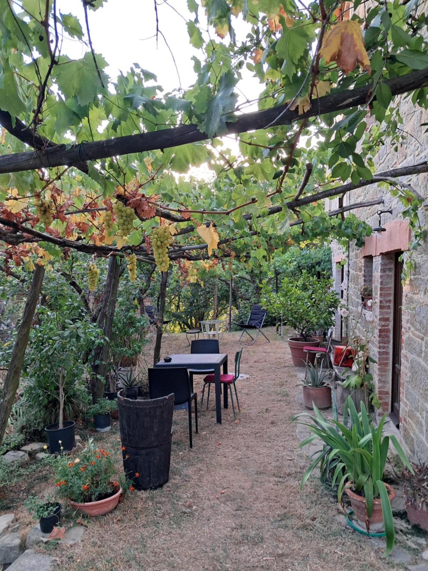 La Fonte B&B Pietralunga  Esterno foto